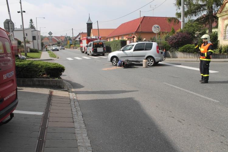 v obci Nový Šaldorf - Sedlešovice (1)