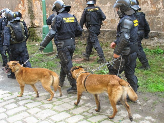 vojenská policie