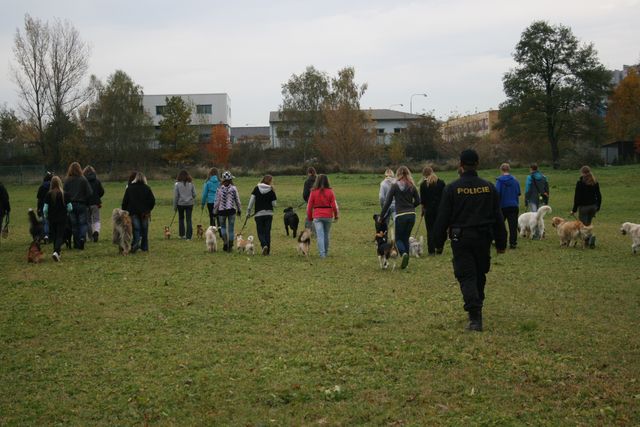 výcvik