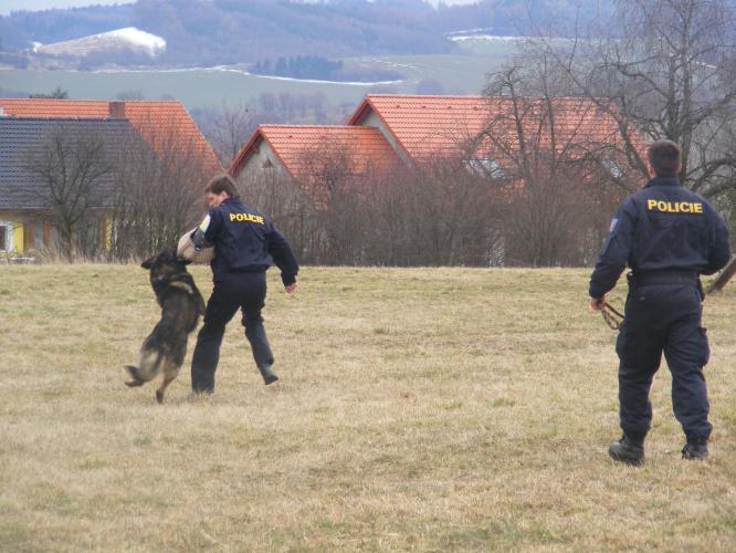 výcvik ZŠ Sedlec 