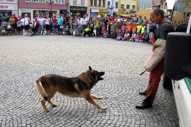 výcvik služební psů PČR 1.jpg