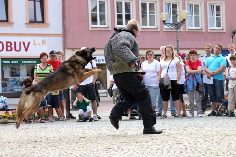 výcvik služebních psů PČR 2.jpg