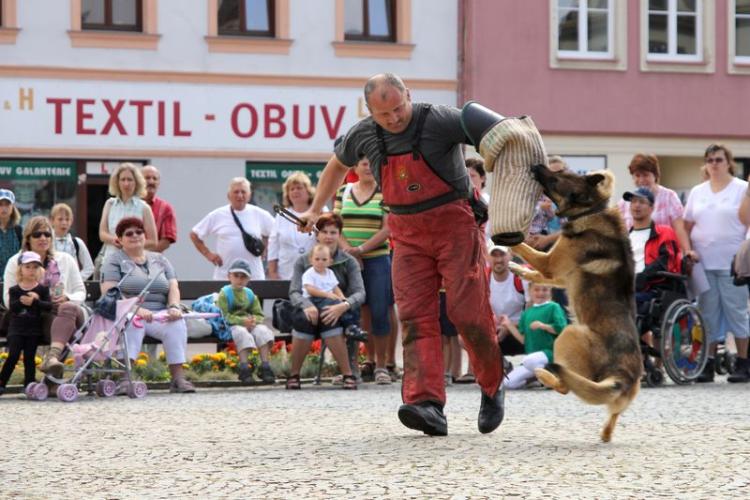 výcvik služebních psů PČR 3.jpg