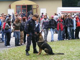 vzdělání a řemeslo.jpg