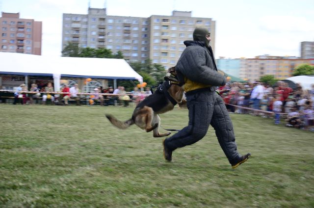zadržení pachatele 6