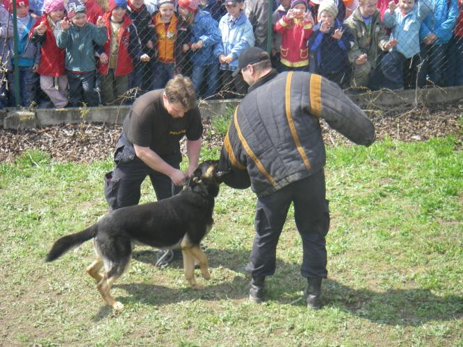 zadržení pachatele.JPG