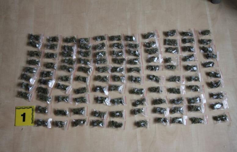 zajištěná marihuana