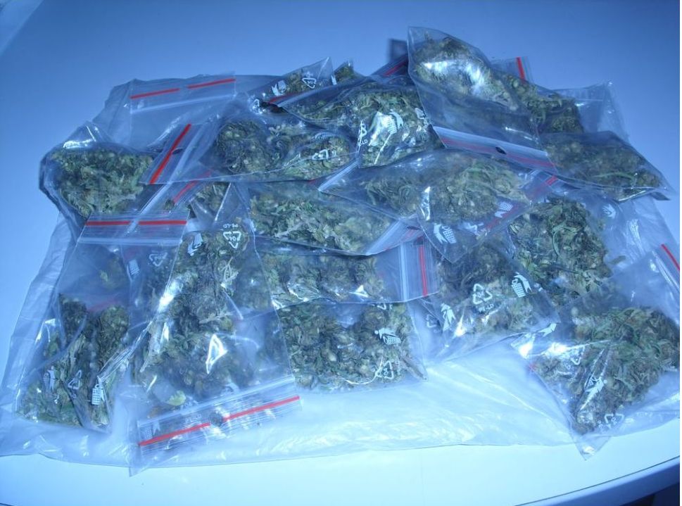 zajištěná marihuana