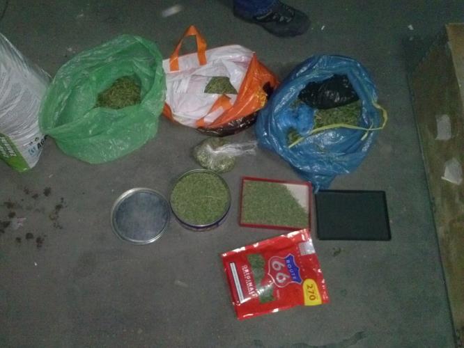 zajištěná marihuana (4)