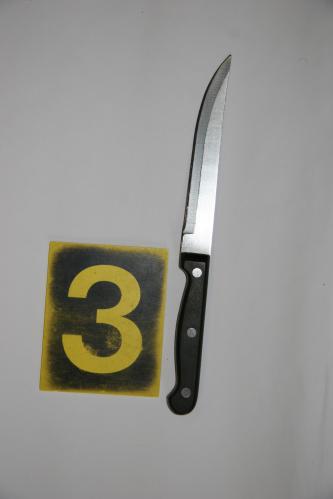 zajištěná zbraň.jpg