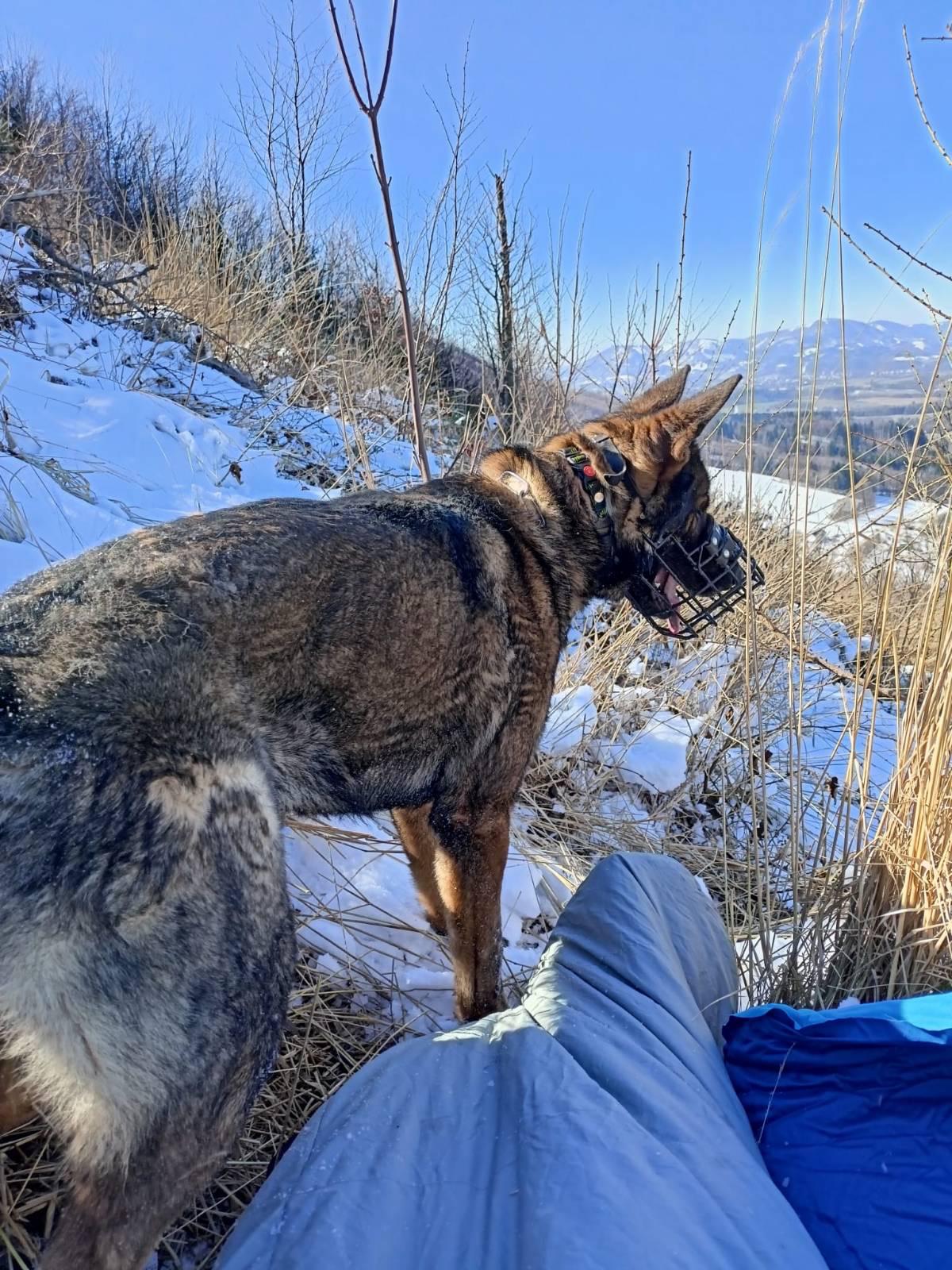 ze cvičení_pátrací akce1.jpg