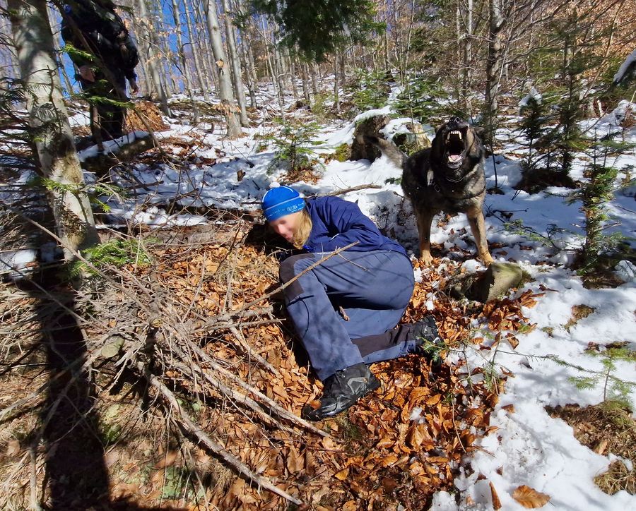 ze cvičení_pátrací akce2.jpg