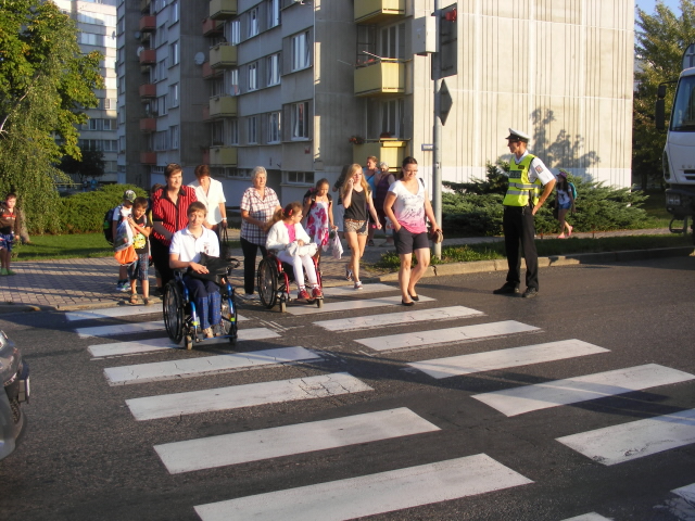 zebra 1. 9. 2015 - 06.JPG