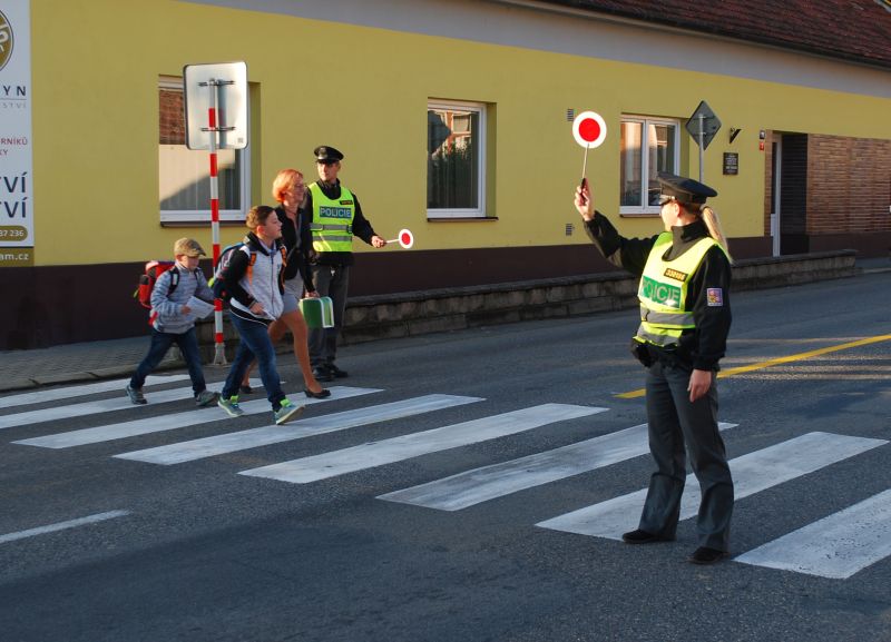 zebra_ČH (13).jpg