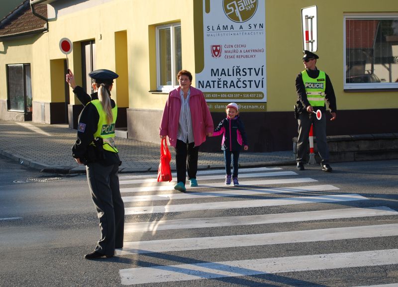 zebra_ČH (5).jpg