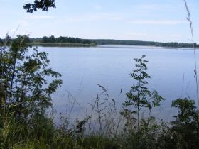 3 Rybn!k0507.jpg 