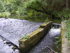 5 ŘekaSplav0507.jpg 