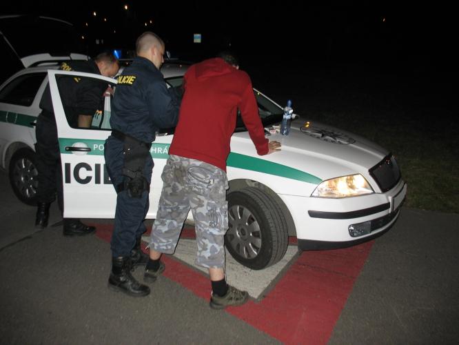 pachatel_TC.JPG 