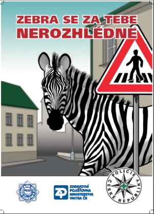 zebra- plakát.jpg 