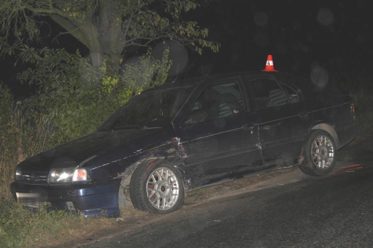 Lýsky2.jpg 