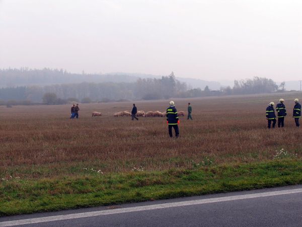 DN3 - Sedlice.jpg 