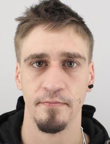 DAVID KRÁL