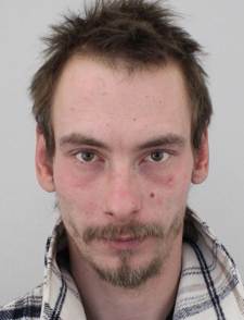 DOMINIK ŠŮS