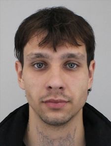 DAVID POKORNÝ
