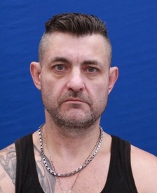 MILAN MALEČEK