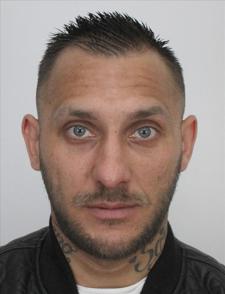 MARIO KOKY