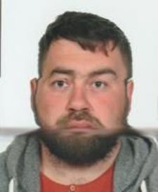 MYKOLA VEHESH