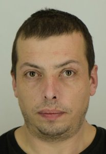 ROMAN TOPOLNYTSKYI