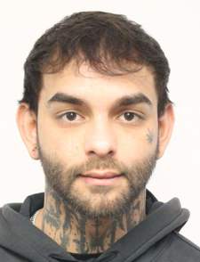 DANIEL ŠTAINC