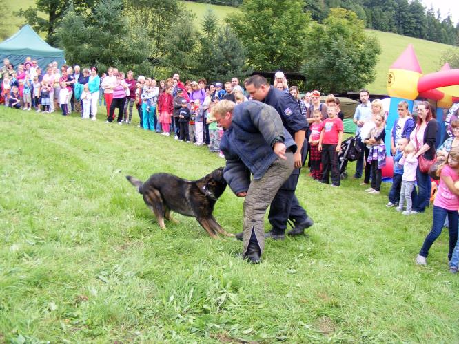 23.8.2014 Hradec nad Moravicí