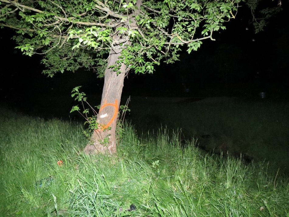 Nehoda Vlčkovice.jpg