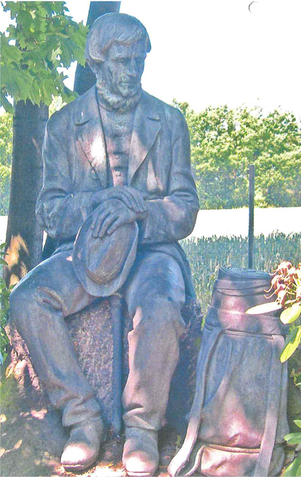 Pláteník Sasko.png