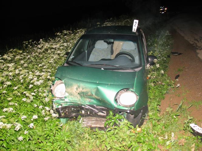 Těmice - divočák 12.7.12.jpg