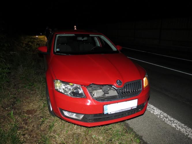 Srážka se zvěří