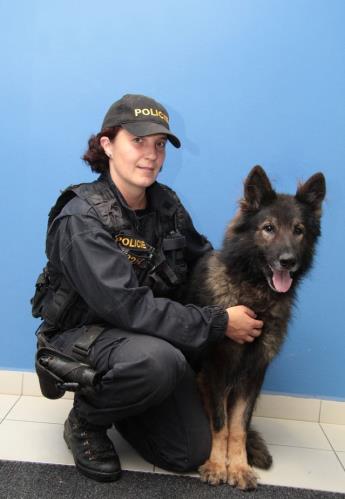 clark a zlatuše.jpg