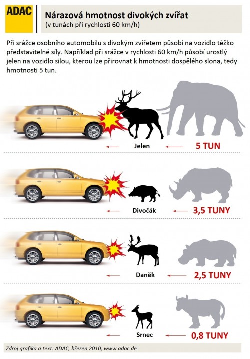 srážka se zvěří 1.jpg