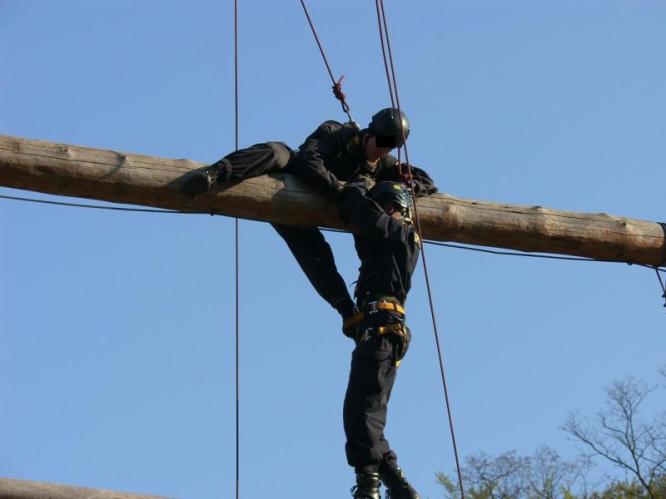 zasahovka vyber_2.jpg