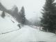 Krkonoše - 2 - 13.3.2021