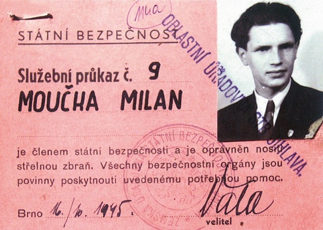 Moučka ve střední velikosti.jpeg