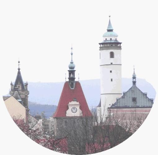 Domažlice pohled