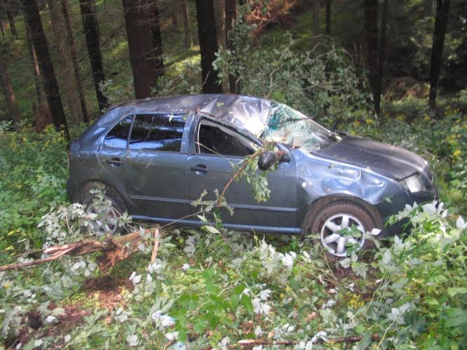 Křelovice 8.8.2010.jpg