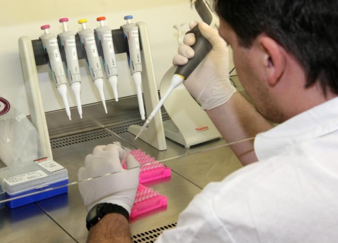 DNA 6_4_2011 příprava reakčního mixu v hazardboxu.jpg