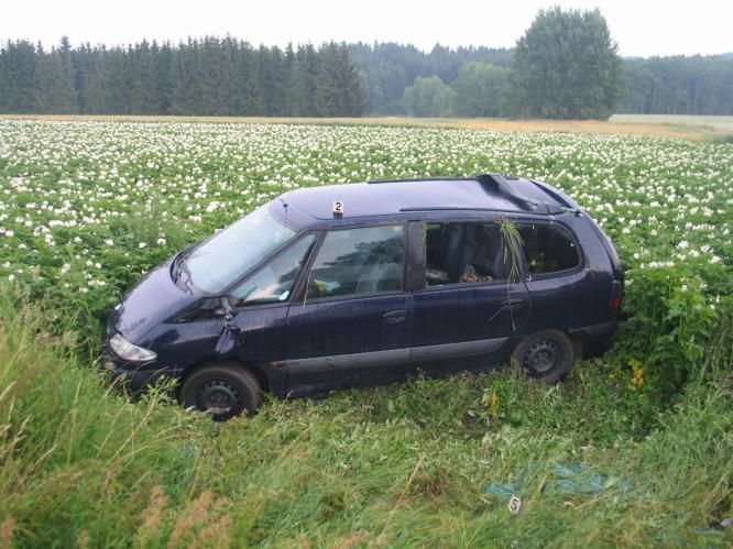 Lipické údolí 13.7.11.jpg