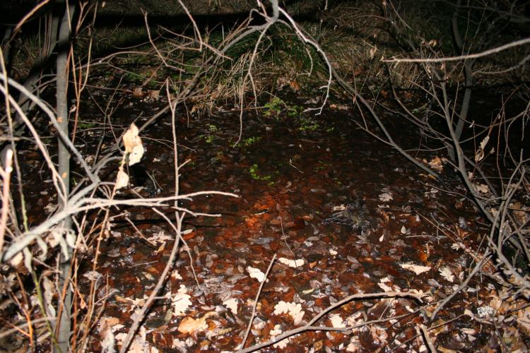 místo nálezu pistole