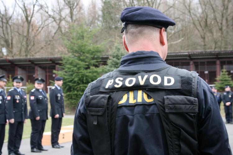 prebor psovodi slavnostnii-nastup-1_th.JPG