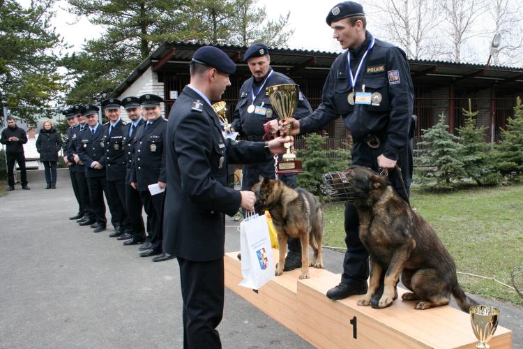 prebor vitez-msk-preboru_th.JPG